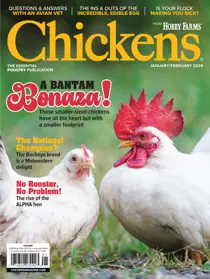 Chickens Magazine issue 2026-01 (Jan/Feb 26)