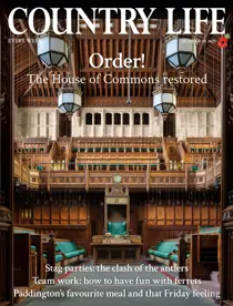 Complete Your Collection Cover 3