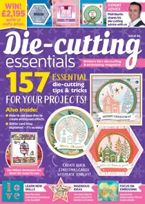 95 
                issue 95