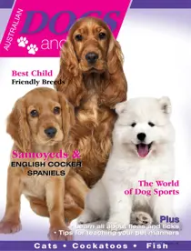 Dogs & Pets 
                issue Dogs & Pets