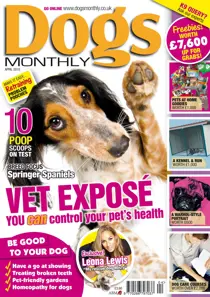 April 2010 
                issue April 2010