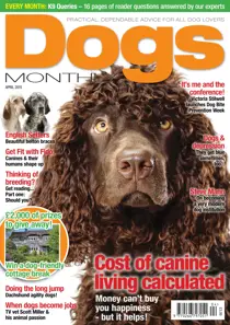 April 2015 
                issue April 2015