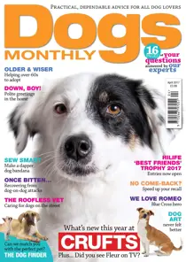 April 2017 
                issue April 2017