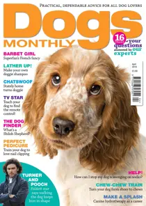 April 2019 
                issue April 2019