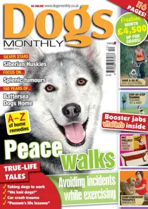December 2010 
                issue December 2010