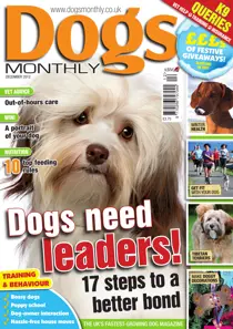December 2012 
                issue December 2012