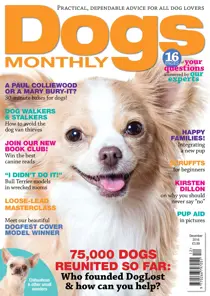 December 2016 
                issue December 2016