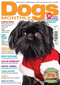 December 2018 
                issue December 2018