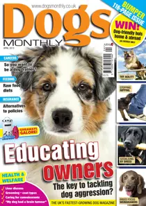 Dogs Monthly April 2013 
                issue Dogs Monthly April 2013