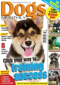 Dogs Monthly August 2013 
                issue Dogs Monthly August 2013