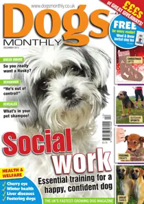 Dogs Monthly December 2013 
                issue Dogs Monthly December 2013