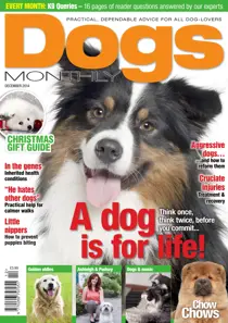 Dogs Monthly December 2014 
                issue Dogs Monthly December 2014