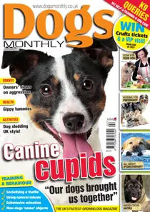 Dogs Monthly February 2013 
                issue Dogs Monthly February 2013