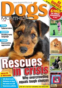 Dogs Monthly FREE SAMPLE 
                issue Dogs Monthly FREE SAMPLE