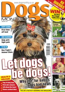 Dogs Monthly January 2014 
                issue Dogs Monthly January 2014