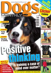 Dogs Monthly July 2013 
                issue Dogs Monthly July 2013