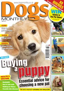 Dogs Monthly June 2013 
                issue Dogs Monthly June 2013