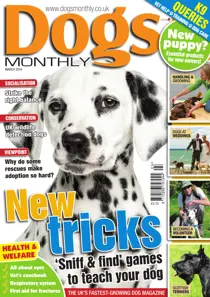 Dogs Monthly March 2014 
                issue Dogs Monthly March 2014