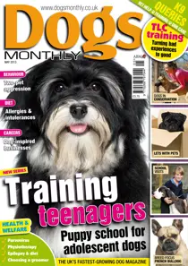 Dogs Monthly May 2013 
                issue Dogs Monthly May 2013