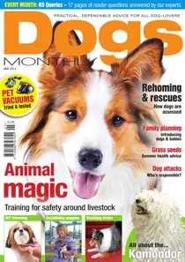 Dogs Monthly May 2014 
                issue Dogs Monthly May 2014