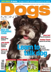 Dogs Monthly November 14 
                issue Dogs Monthly November 14
