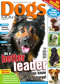 Dogs Monthly November 2013 
                issue Dogs Monthly November 2013