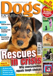 Dogs Monthly October 2012 
                issue Dogs Monthly October 2012