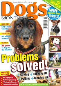 Dogs Monthly October 2013 
                issue Dogs Monthly October 2013