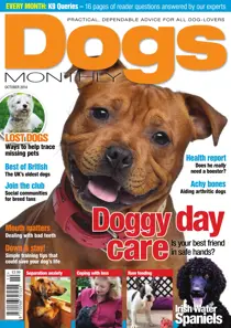 Dogs Monthly October 2014 
                issue Dogs Monthly October 2014