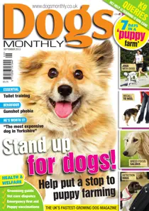 Dogs Monthly September 2013 
                issue Dogs Monthly September 2013