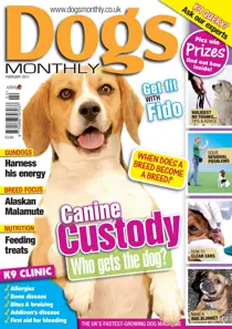 February 2011 
                issue February 2011