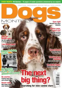 February 2016 
                issue February 2016