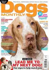 February 2017 
                issue February 2017