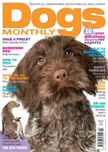 February 2018 
                issue February 2018