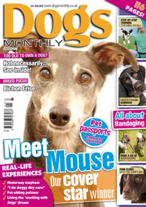 January 2011 
                issue January 2011
