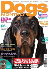 January 2017 
                issue January 2017