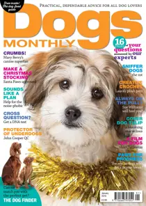 January 2018 
                issue January 2018
