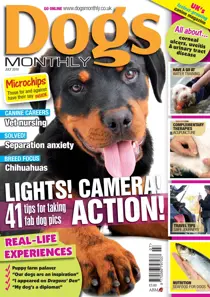 July 2010 
                issue July 2010
