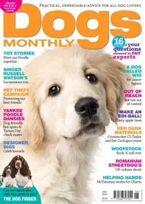 June 2018 
                issue June 2018