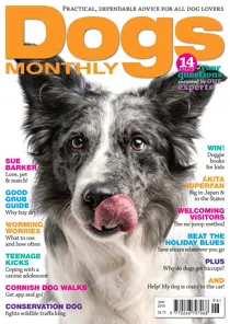 June 2019 
                issue June 2019
