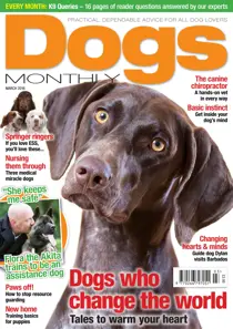 March 2016 
                issue March 2016