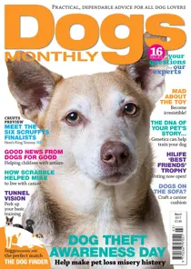 March 2017 
                issue March 2017