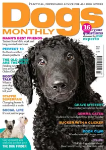 March 2019 
                issue March 2019