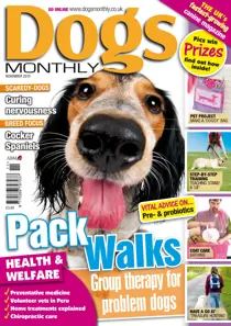 November 2010 
                issue November 2010