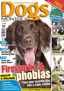 November 2011 
                issue November 2011