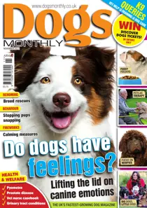 November 2012 
                issue November 2012