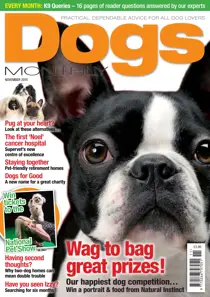 November 2015 
                issue November 2015