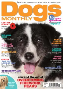 November 2016 
                issue November 2016