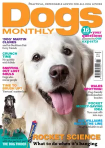 November 2017 
                issue November 2017