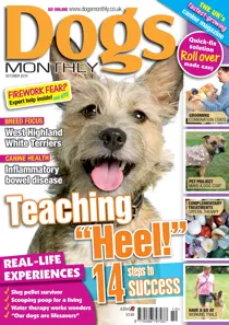 October 2010 
                issue October 2010